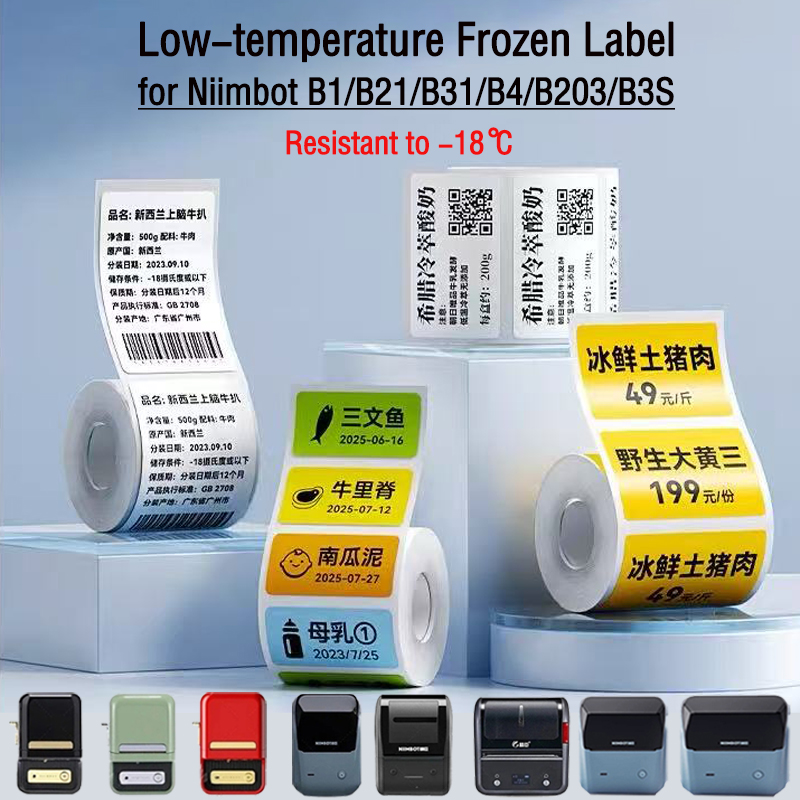 NIIMBOT B1/B2/B21/B31/B4/B203/ - Food Storage Labels avis et prix